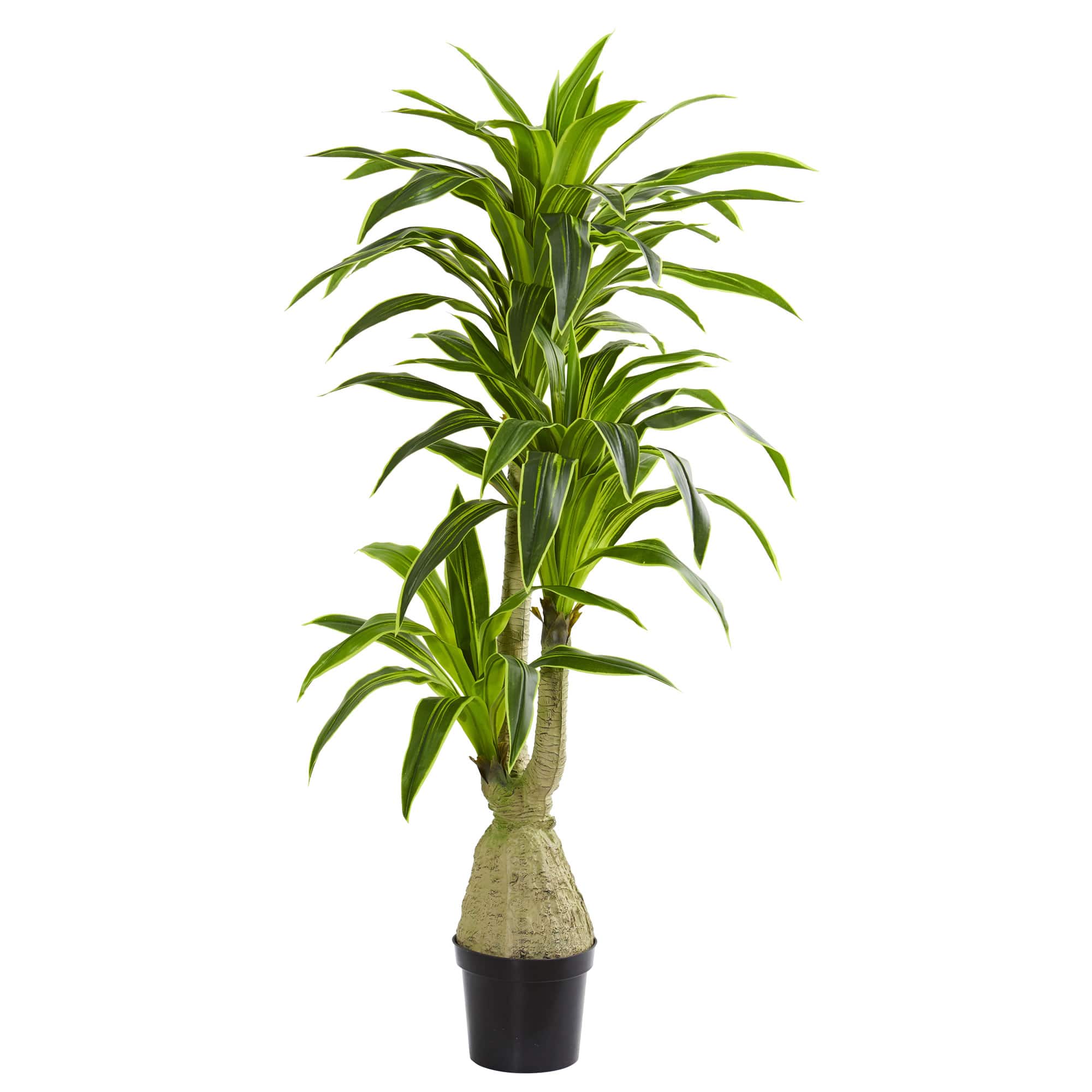 6.5ft. Potted Dracaena Artificial Plant